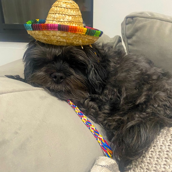 Meet your Posher, Danielle - Picture 1 of 3